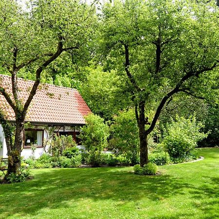 Vila Kleines Haus Ganderkesee Exteriér fotografie